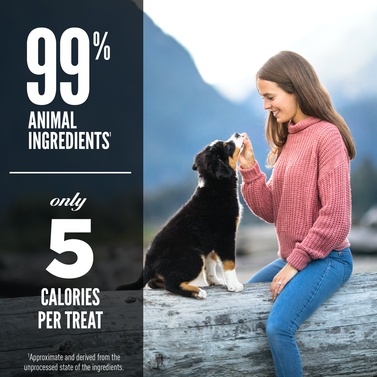 Orijen tundra dog treats store